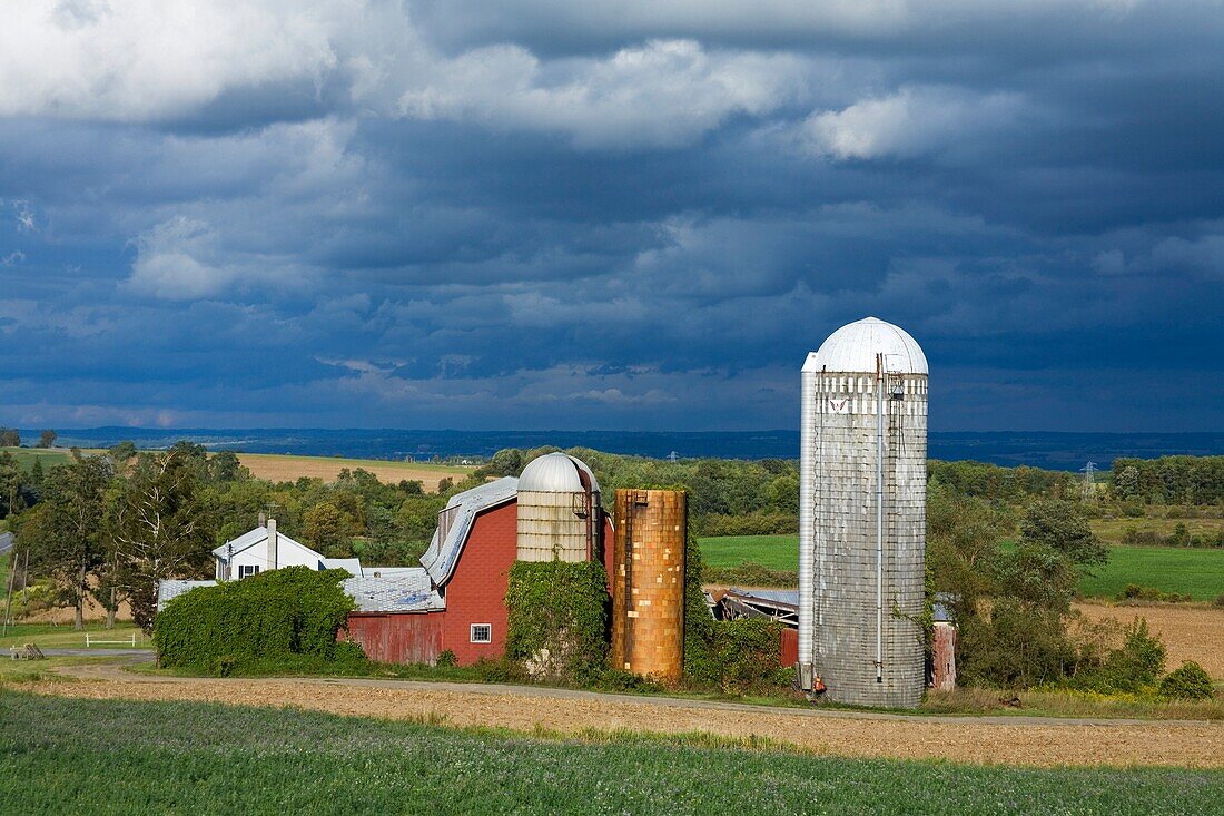 Tranquile View Of Farm Near Leichester; Greater Rochester Area, New York, Usa