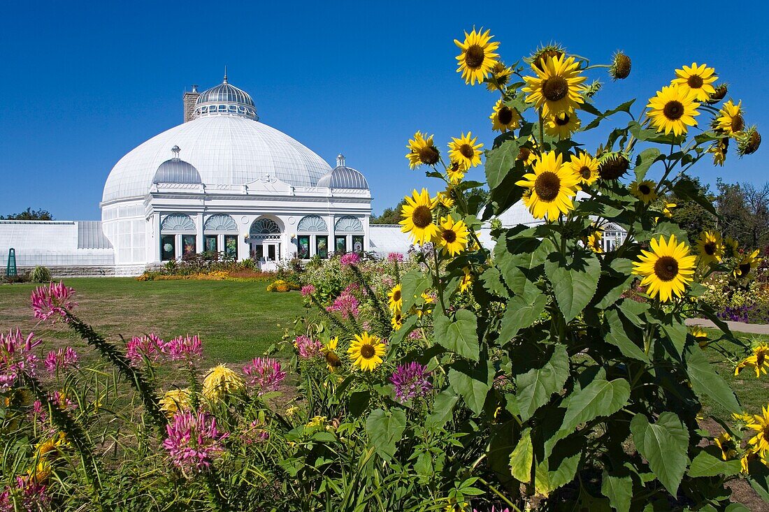 Botanical Gardens; Buffalo, New York State, Usa