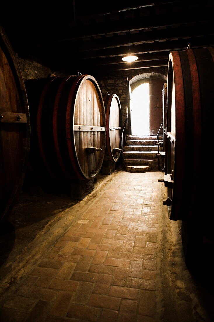 Weinfässer im Weinkeller; Castello Di Verrazzano, Greti, Italien