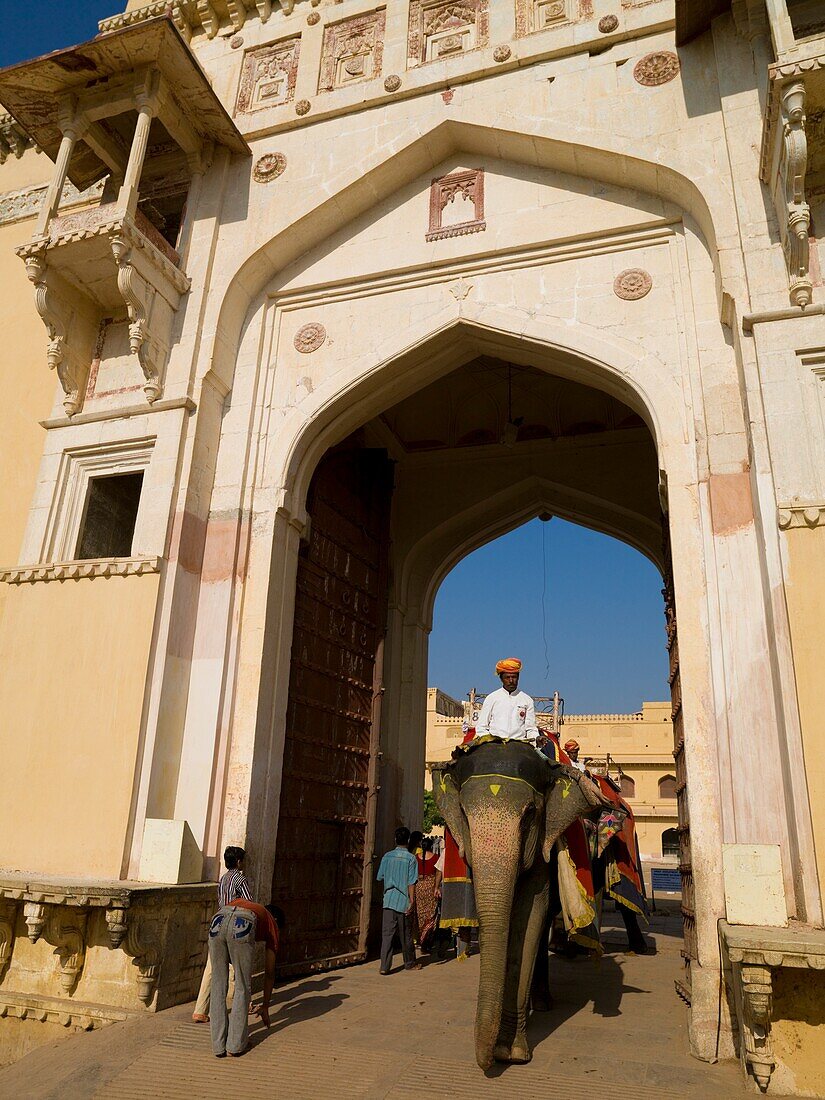 Mahouts Riding Their Elephants Trough Gate At Amber Fort; Amber, Jaipur, Rajasthan, India