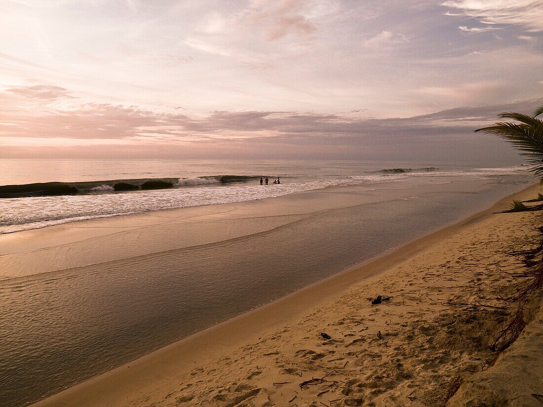 Sandy Beach At Sunset; Arabian Sea, Kerala, India