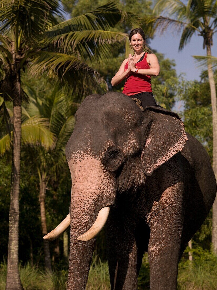 Young Woman Practicing Yoga On Elephant's Back; Kerala, India
