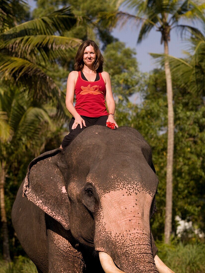 Junge Frau, die auf dem Rücken eines Elefanten sitzt; Kerala, Indien