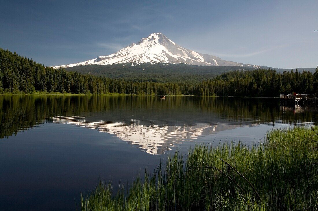 Mt. Hood Reflects In Trillium Lake; Mt Hood National Forest, Oregon, Usa