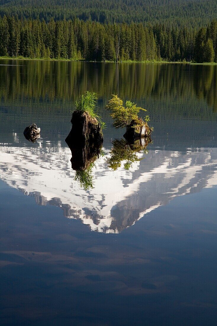 Spiegelung von Mt. Hood im Trillium Lake; Mt, Hood National Forest, Oregon, Usa