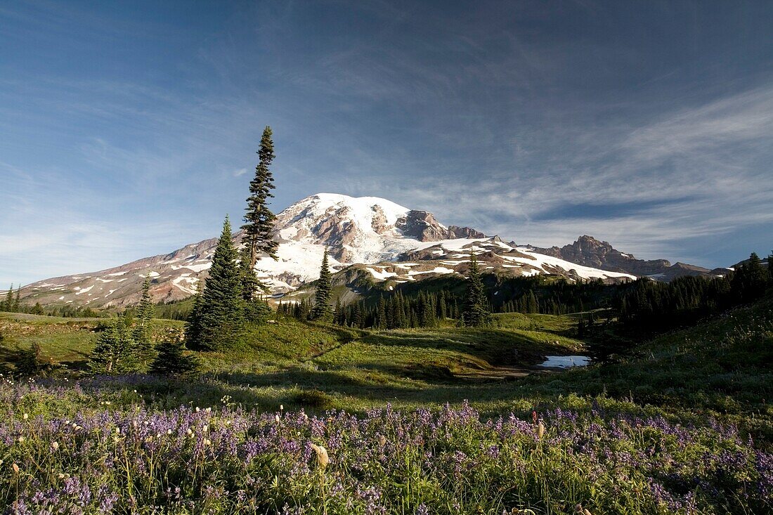 Mt. Rainier; Mt. Rainier National Park, Washington State, Usa