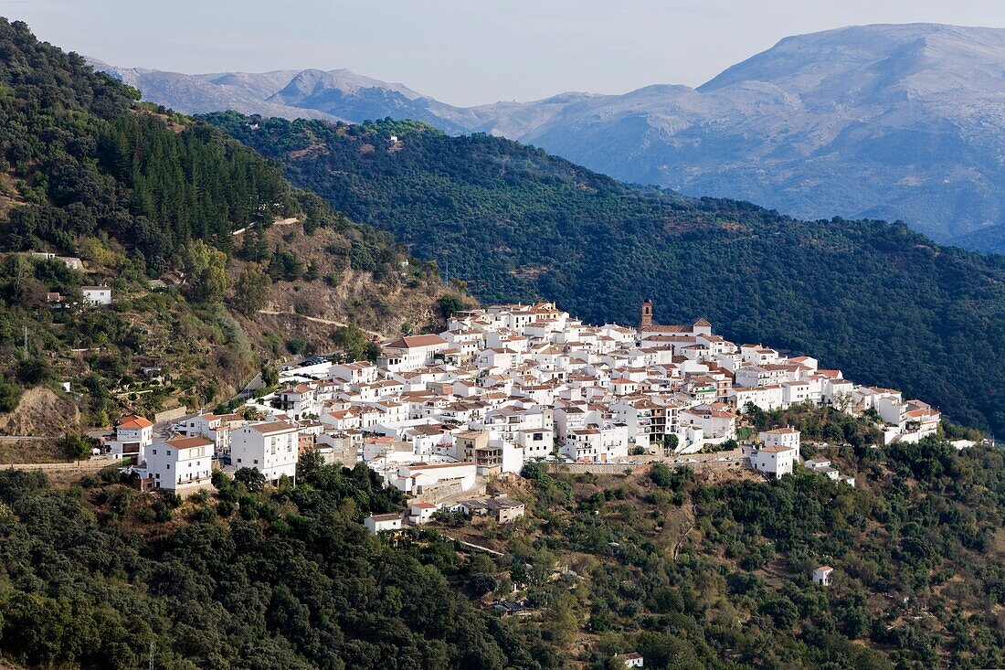 Erhöhte Ansicht eines Dorfes in einer bergigen Gegend; Algatocin, Provinz Malaga, Spanien