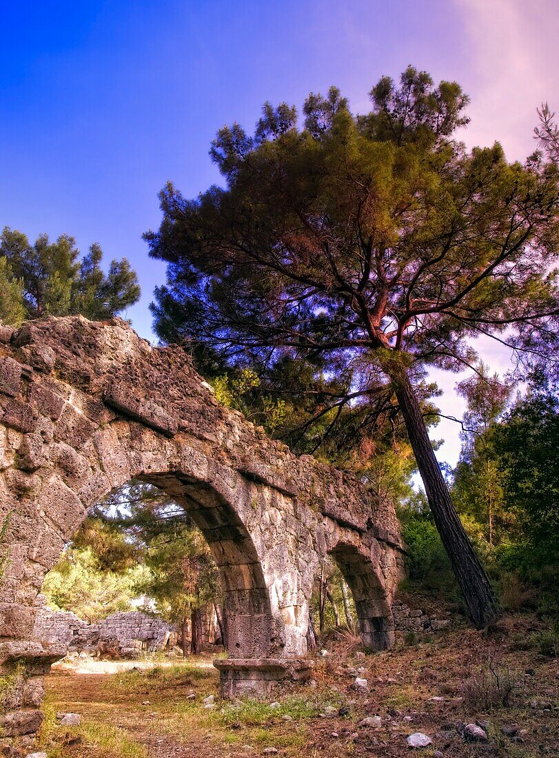 Archway Of Roman Ruins; Phaselis, Turkey