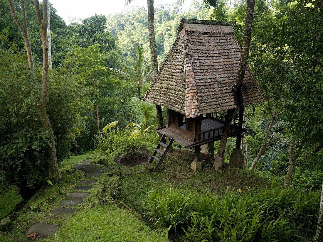 Holzhütte im Wald; Bali, Indonesien