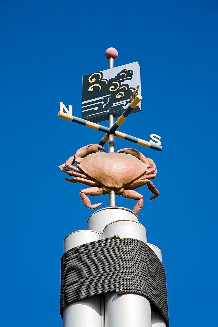 Weather Vane; Seattle, Washington State, Usa