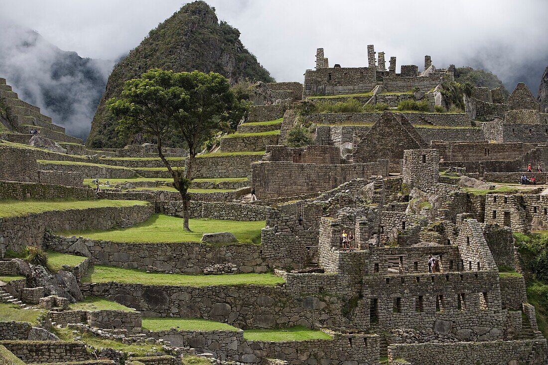 Machu Picchu