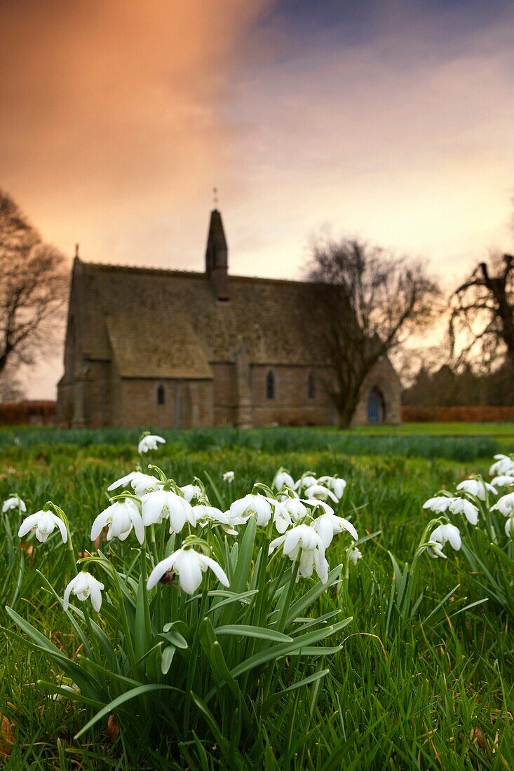 Weiße Blumen mit einer kleinen Kirche im Hintergrund