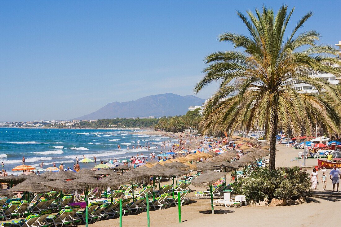 Scenic Shot Of Busy Beach