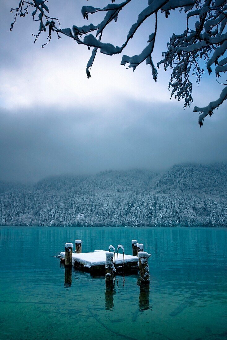 Snowy Dock Floating In Lake; Bellingham,Washington,Usa