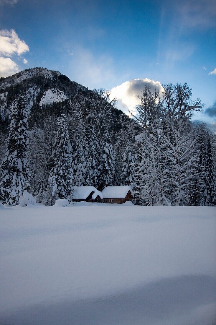 Snowy Shot Of Cabins