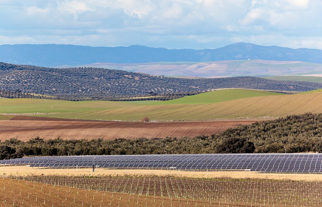 Hillside View Of Farmland; Andalusia,Spain