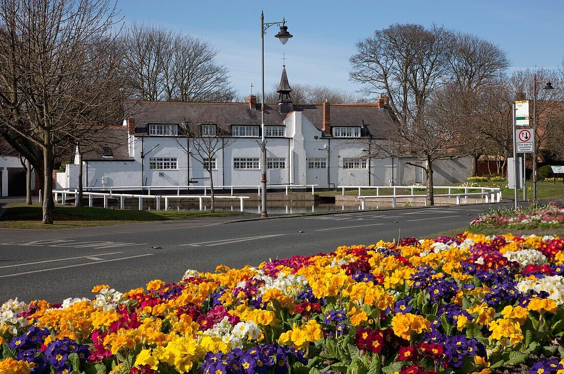 Roadside Flowerbed, Tyne And Wear, England