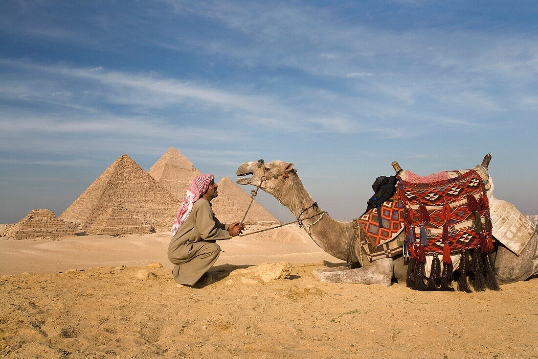 Ein Mann und ein Kamel mit den Pyramiden im Hintergrund; Kairo, Ägypten, Afrika