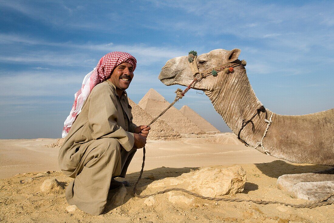 A Man And Camel With The Pyramids In The Background; Cairo,Egypt,Africa