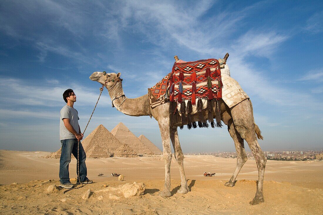 Ein Mann und ein Kamel mit den Pyramiden im Hintergrund