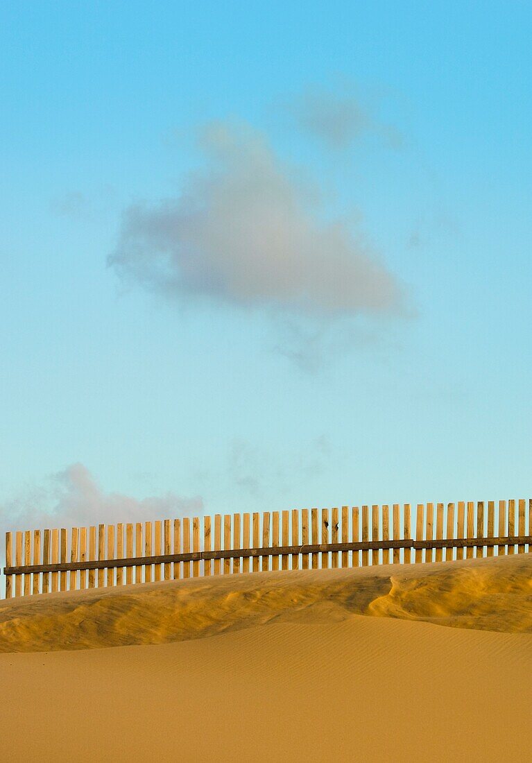 Fence On Beach