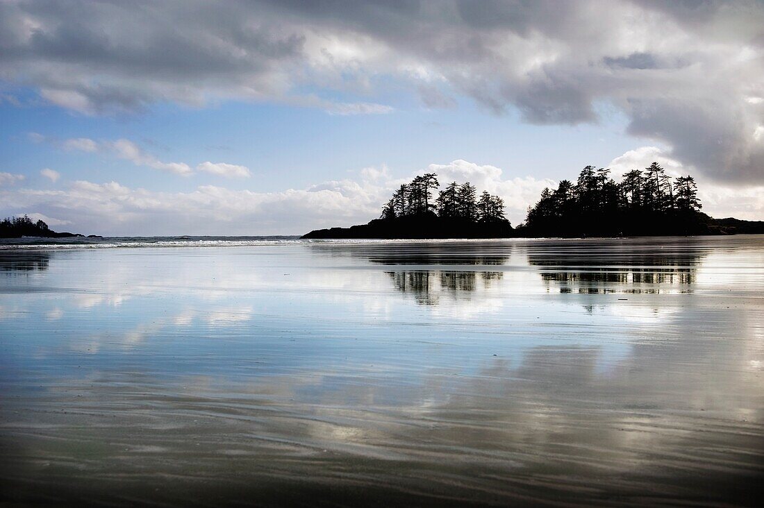 Low Tide In Tofino; Tofino, Vancouver Island, British Columbia, Canada