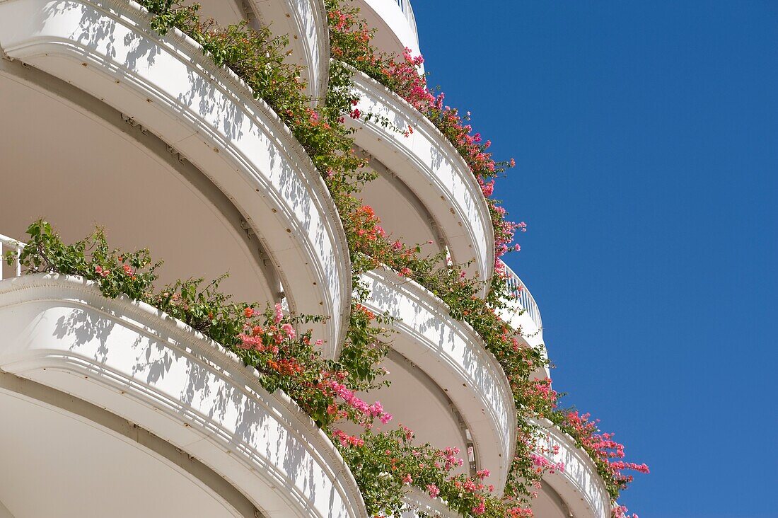 Balconies Covered With Flowers; Maui, Hawaii, Usa