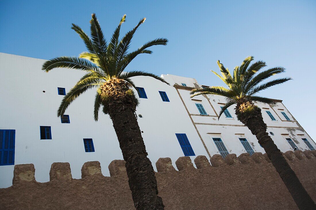 Palmen und Außenseite eines Gebäudes, Essaouira, Marokko