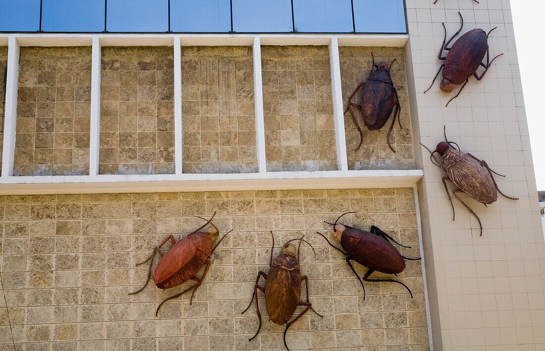 Kakerlaken-Kunstausstellung, Havanna, Kuba
