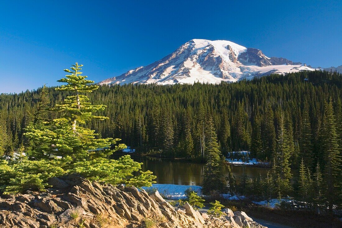 Snow-Capped Mountain; Washington,Usa