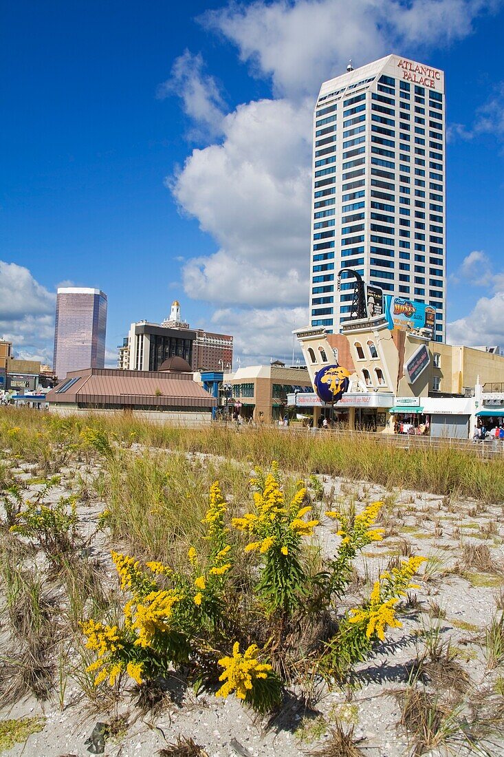 Atlantic Palace Casino, Atlantic City, New Jersey, Usa