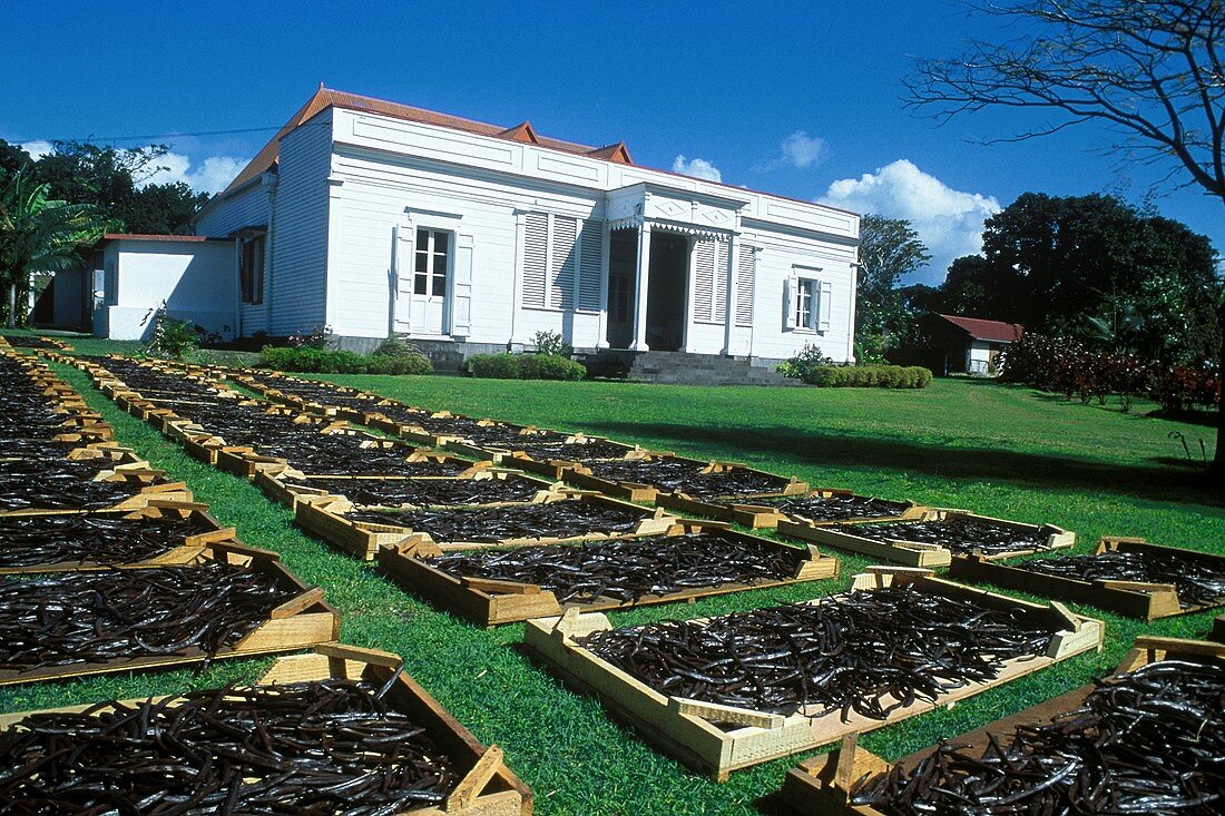 Maison de la Vanille (Saint Andre):Gut einer Vanilleplantage