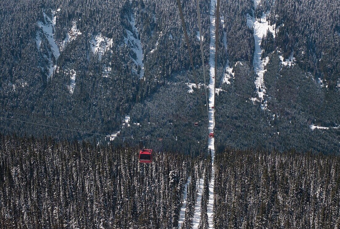 Ski Resort Cable Car, Whistler, British Columbia, Canada
