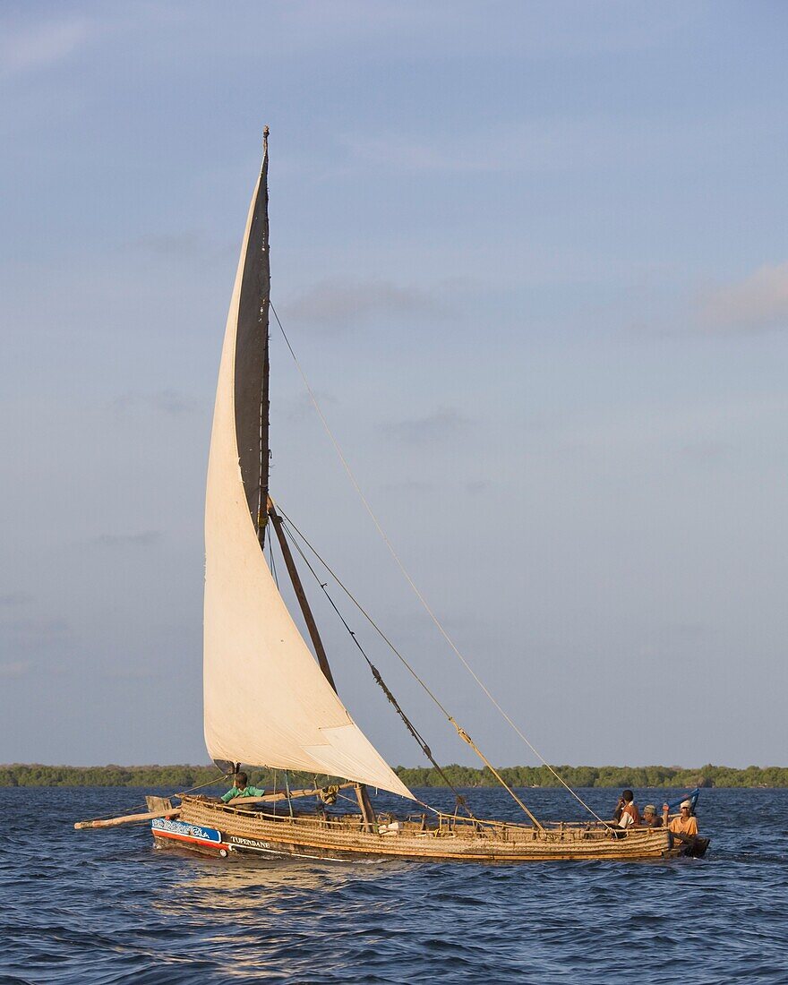 Ein traditionelles Dhow-Boot segelt vor der Küste von Lamu, Kenia, Ostafrika