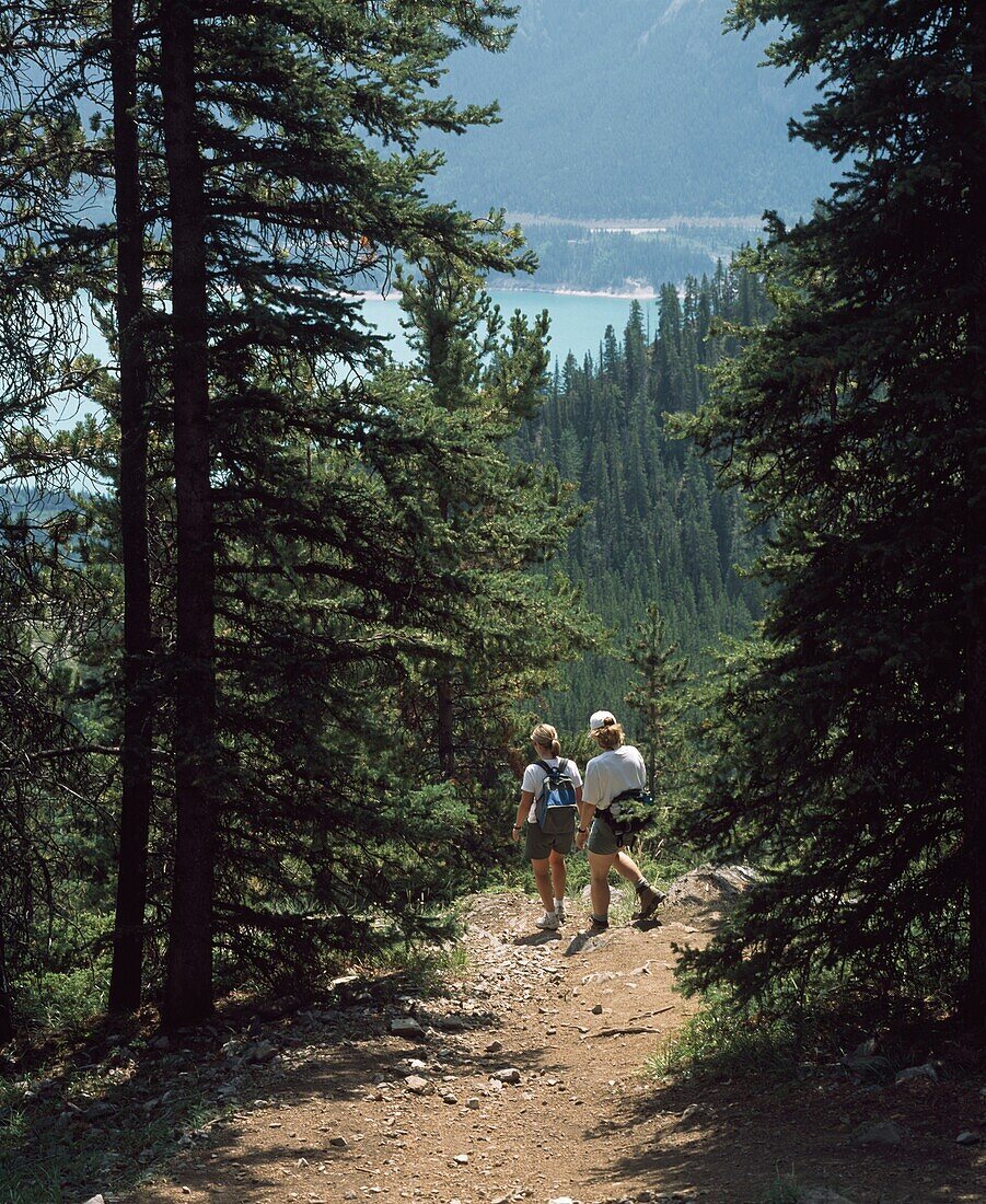 Hiking In The Rocky Mountains, Kananaskis, Alberta, Canada