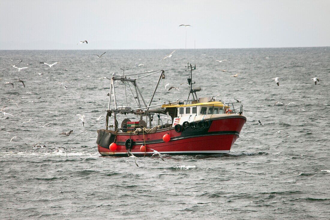 Fishing Boat