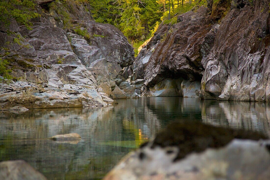 Still Water, Elk Falls, British Columbia, Canada