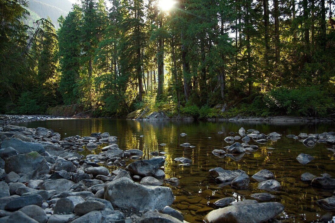 Beautiful Shore, Elk Falls, British Columbia, Canada