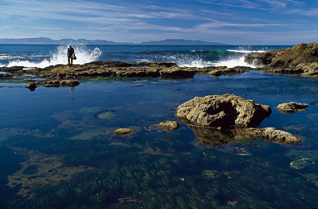 Wave Splashing On Coast