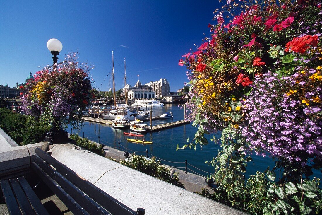 Victoria Harbor; Victoria,Vancouver Island, British Columbia, Canada