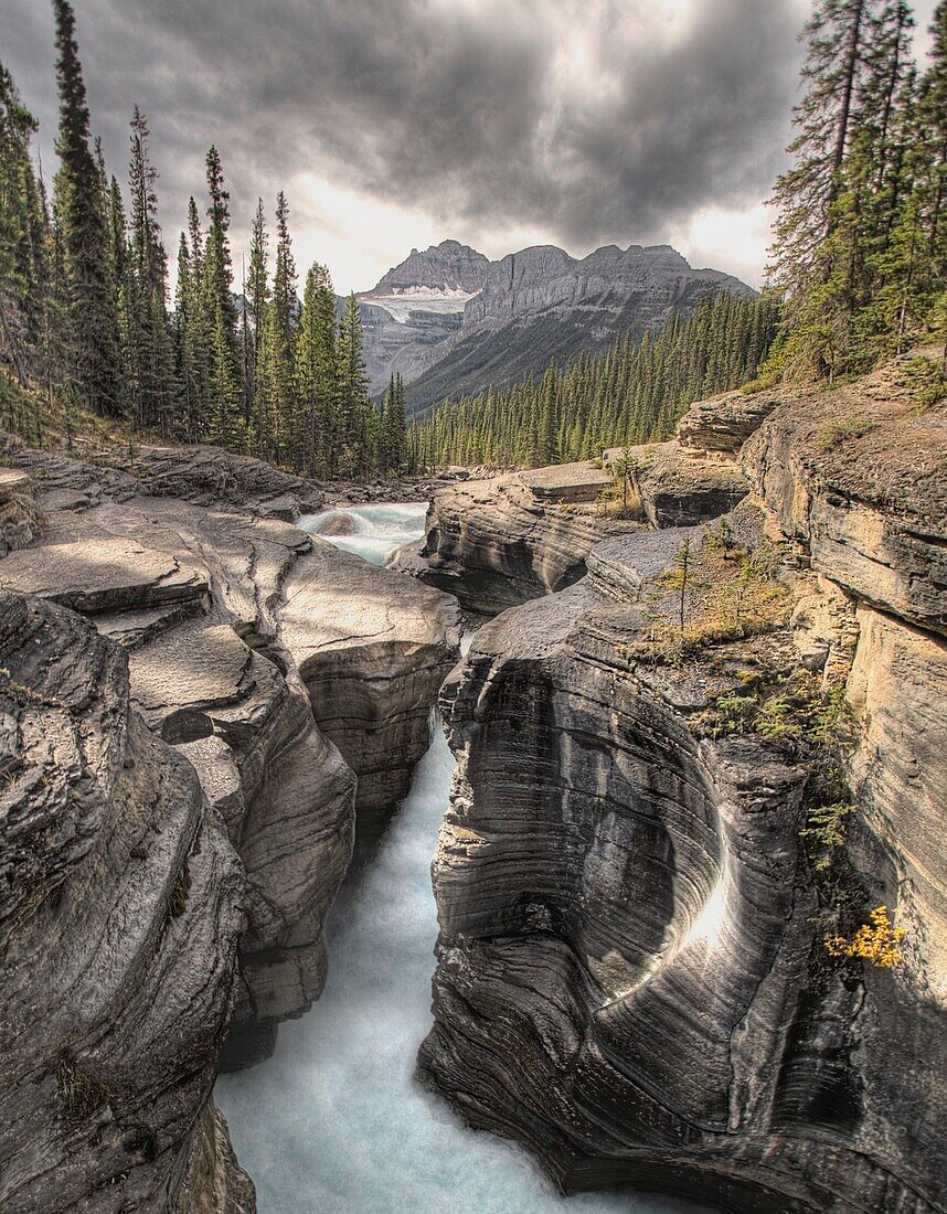 Stream Through Canyon; Banff National Park,Alberta,Canada