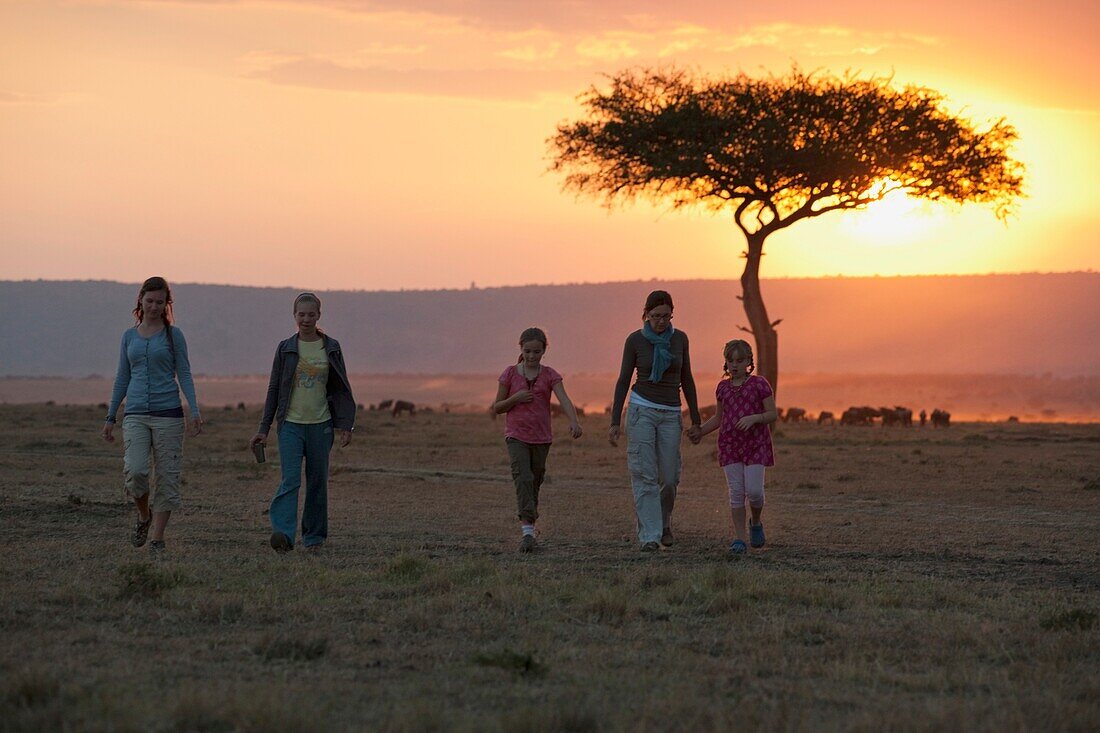 Sonnenuntergang, Maasai Mara, Kenia, Afrika