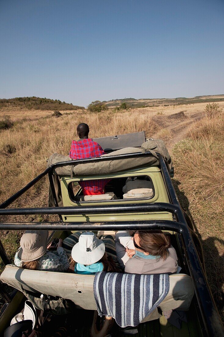 Safari, Maasai Mara, Kenia, Afrika
