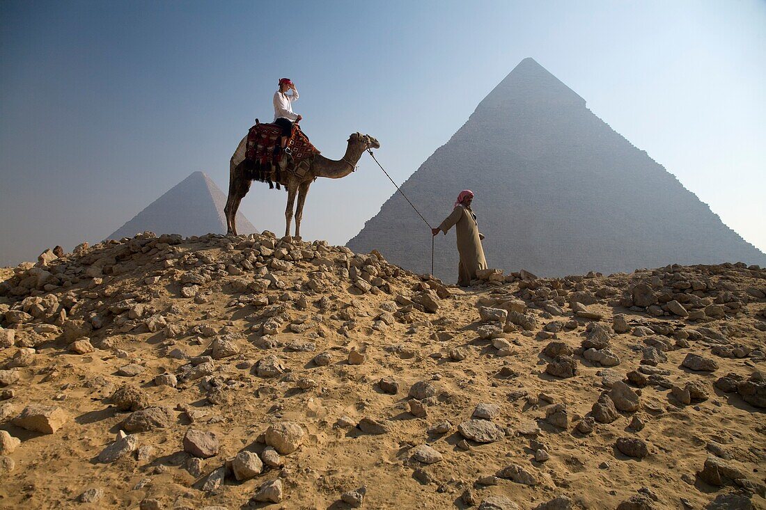 Junge Touristin auf einem Kamel, geführt von einem Führer bei den Pyramiden von Gizeh, Ägypten