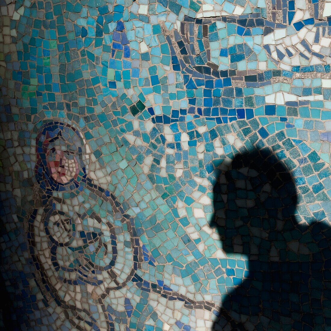 Shadow Of Man On Mosaic Tiles