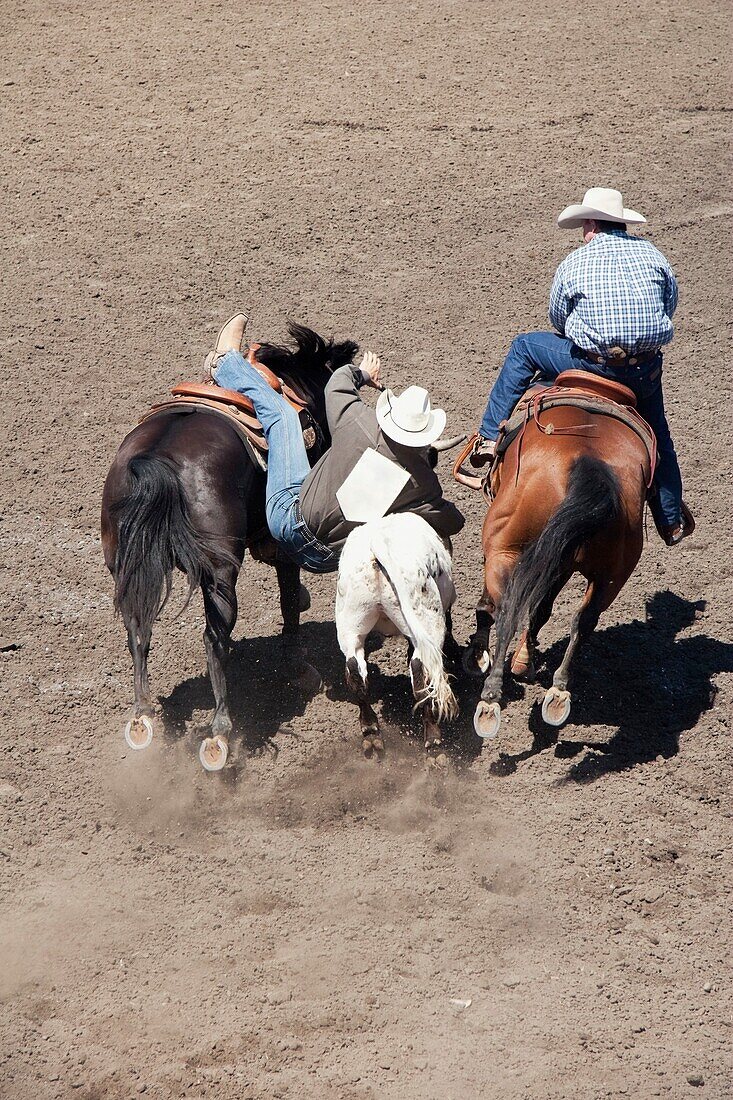 Kalb-Ringer, Calgary Stampede Rodeo, Calgary, Alberta, Kanada