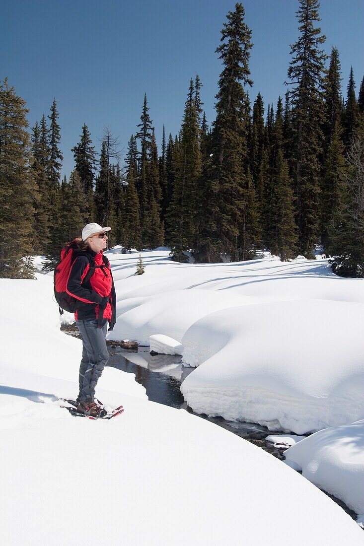 Woman In Snowshoes Standing Near A Creek