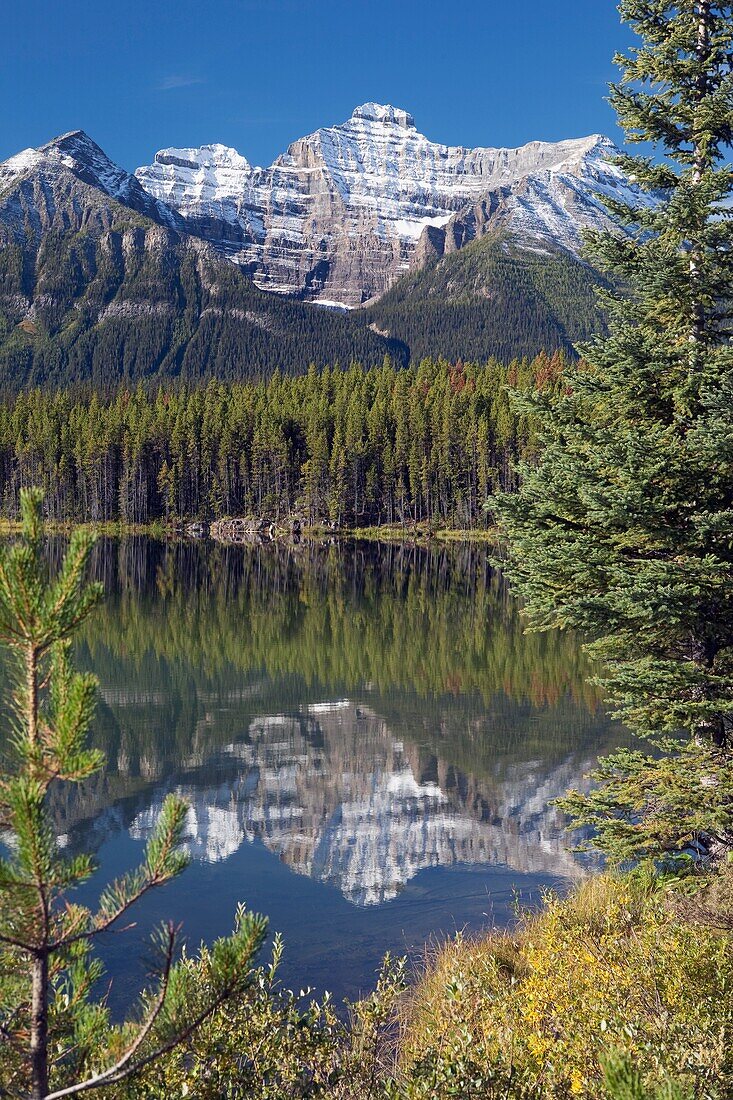 Banff National Park, Alberta, Kanada; Spiegelung eines Berges im Herbert Lake