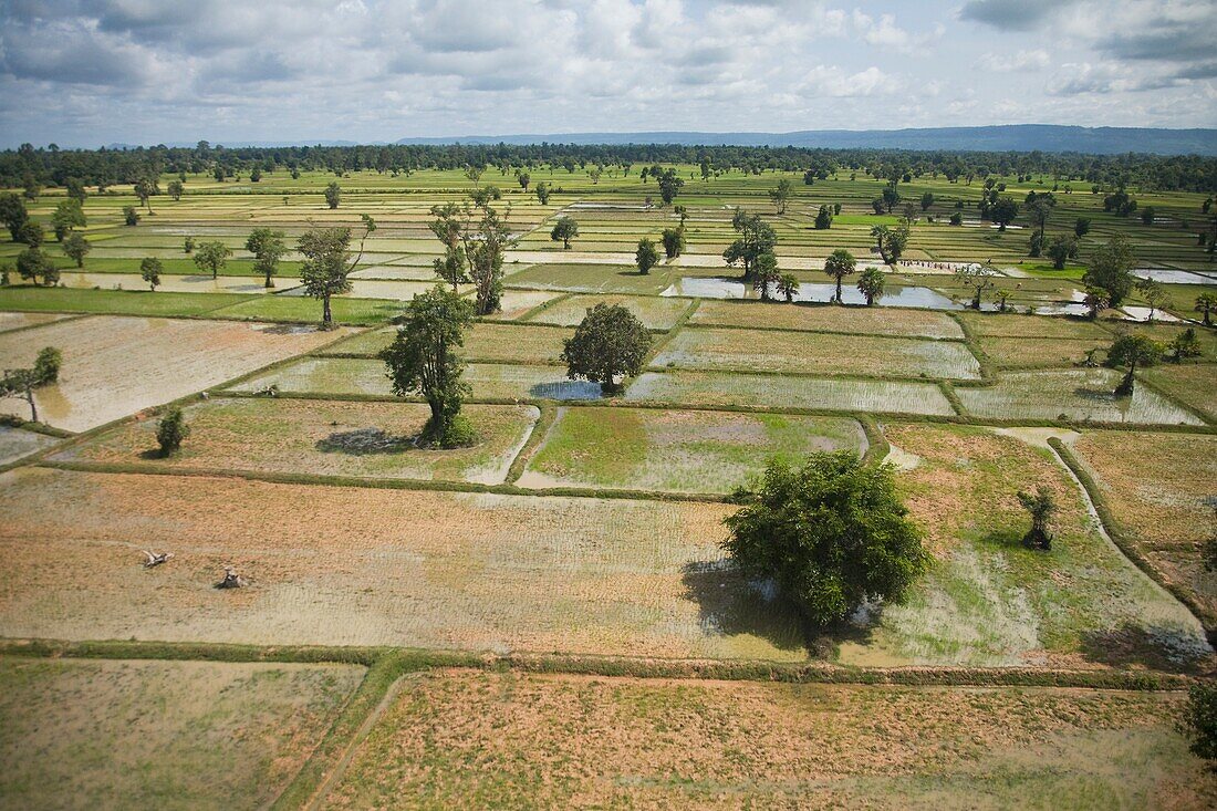 Aerial View Of Farm Lands In Cambodia; Siem Reap,Cambodia