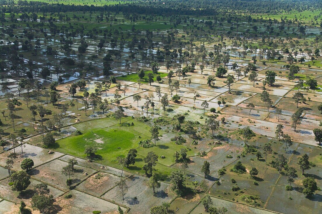 Aerial View Of Farmland, Siem Reap, Cambodia
